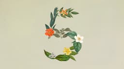 Anthropic выпустила Claude Sonnet 5: новая модель почти догнала Opus 4.8, сохранив низкую цену
